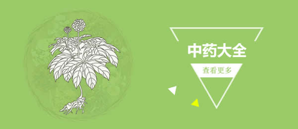 中藥大全
